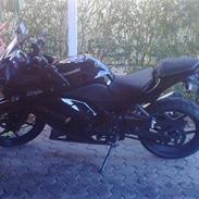 Kawasaki ninja