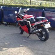 Suzuki gsx-r1100