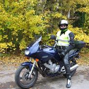 Yamaha XJ 600 S Diversion 