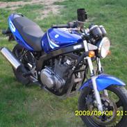 Suzuki Gs 500