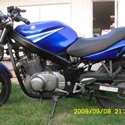 Suzuki Gs 500