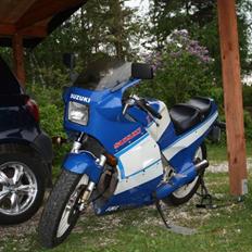 Suzuki RG 250 Gamma -$olgt-