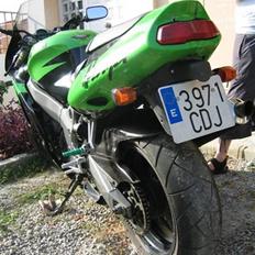 Kawasaki Zx9r "BYTTET"