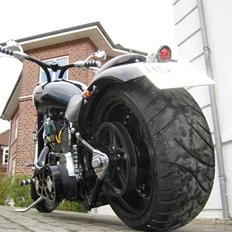Harley Davidson custom