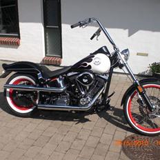 Harley Davidson Fxstc