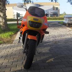 Yamaha FZR 600 SOLGT