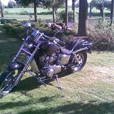 Honda Shadow VT 1100