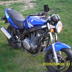 Suzuki Gs 500