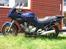 Yamaha XJ 600 S Diversion 