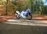 Suzuki GSXF 600