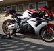 Honda cbr 1000 rr