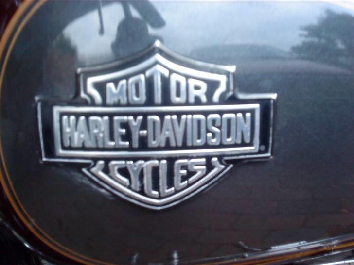 Harley Davidson sportster billede 8