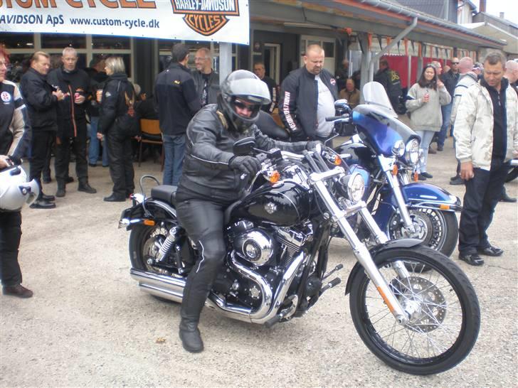 Suzuki GSF 600 Bandit - så er soft tail versionen mere mig - men også dyr billede 8