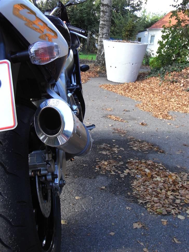 Honda CBR 900 RR Fireblade "Solgt" billede 6