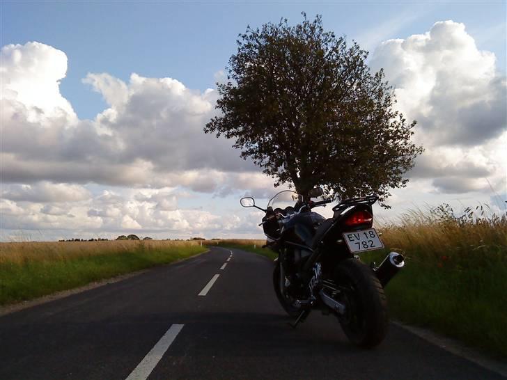 Suzuki GSF650S - En dejlig sommeraften i Danmark billede 8