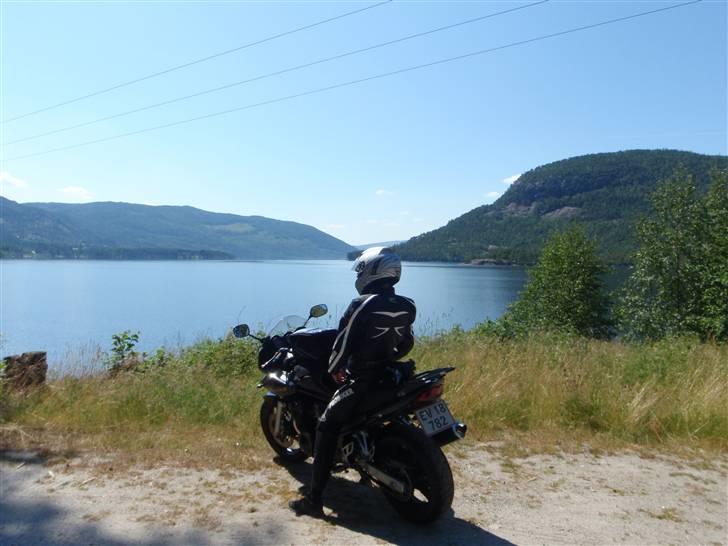 Suzuki GSF650S billede 12