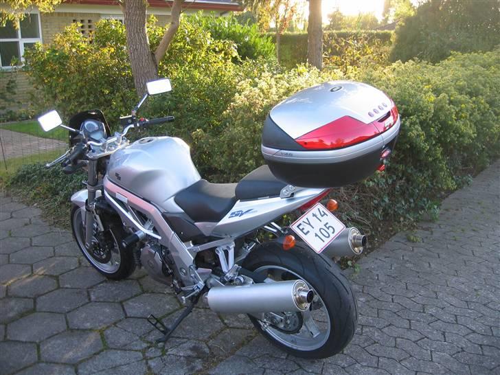 Suzuki SV 1000 N Solgt billede 8