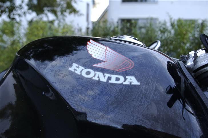 Honda XBR500  - Honda. Findes der andet? billede 15