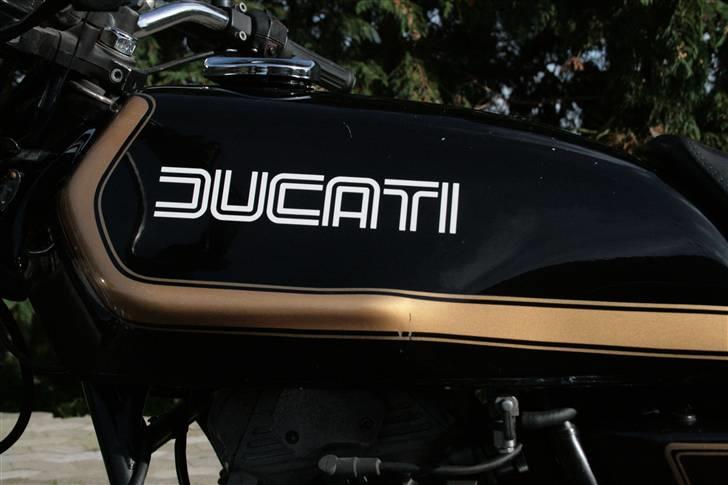 Ducati 350 gtv billede 7