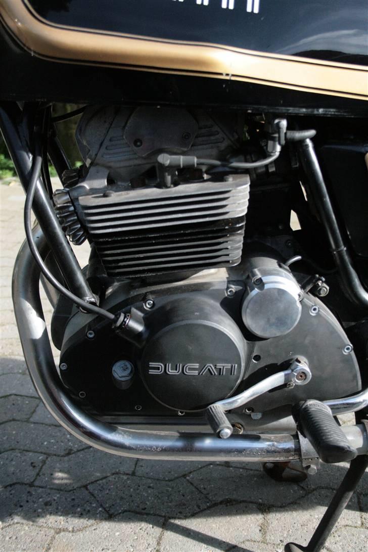 Ducati 350 gtv billede 8