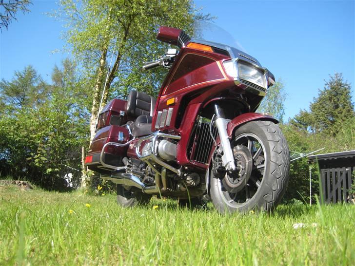 Honda Goldwing GL 1200  - "På græs"!!! billede 17