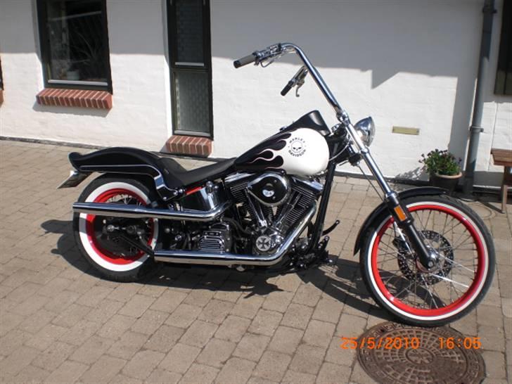 Harley Davidson Fxstc billede 1