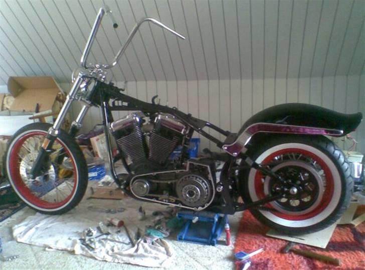 Harley Davidson Fxstc billede 2