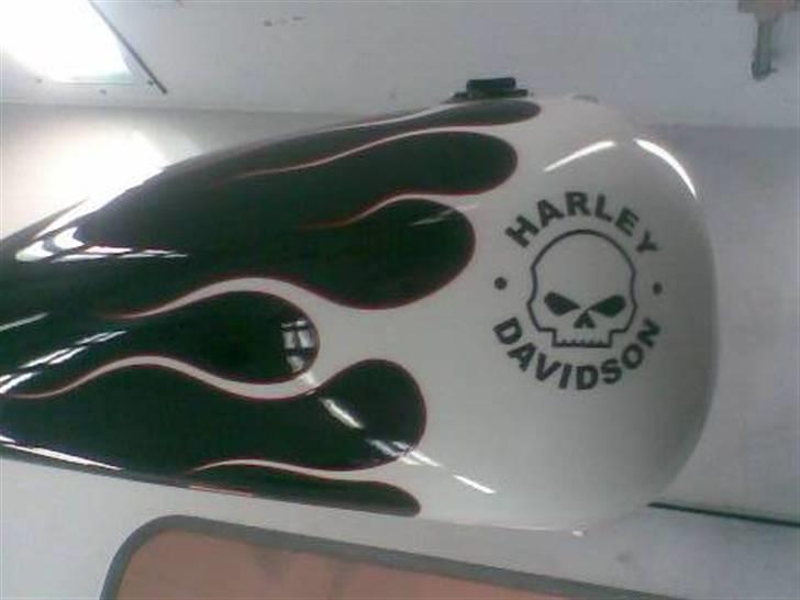 Harley Davidson Fxstc billede 4