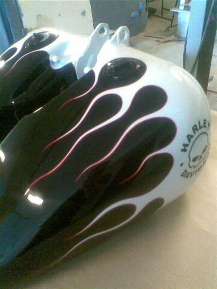 Harley Davidson Fxstc billede 5