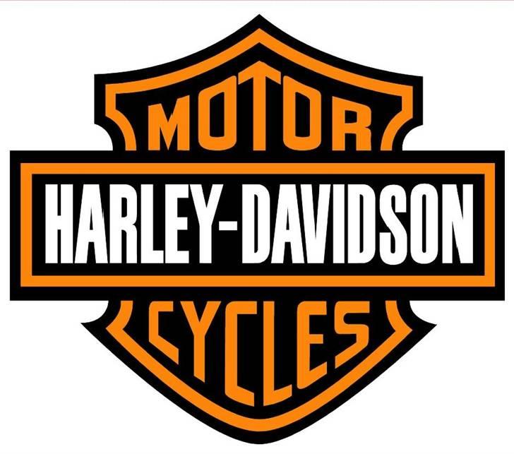 Harley Davidson Fxstc billede 9