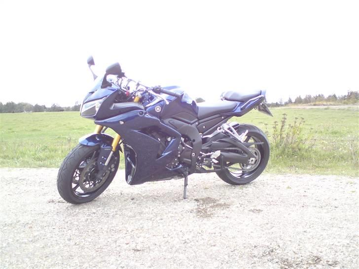 Yamaha FZ 1 SA billede 8