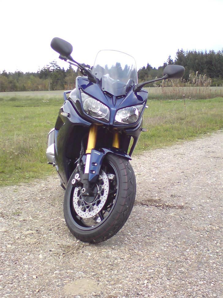 Yamaha FZ 1 SA billede 10