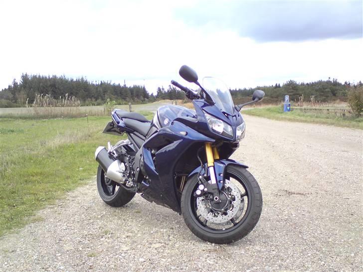 Yamaha FZ 1 SA billede 11