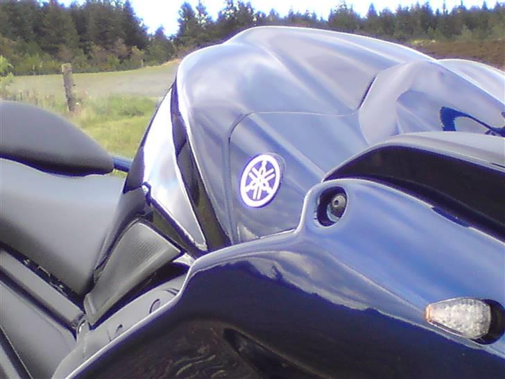 Yamaha FZ 1 SA billede 12