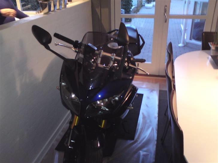 Yamaha FZ 1 SA - Hvor ellers kan hun overvintre, end i køkkenet... ;-) billede 13