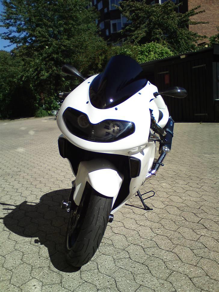 Suzuki Tl 1000 R billede 6