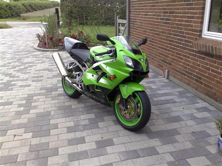 Kawasaki zx9r  - Sådan så den ud ad jeg købte den billede 2