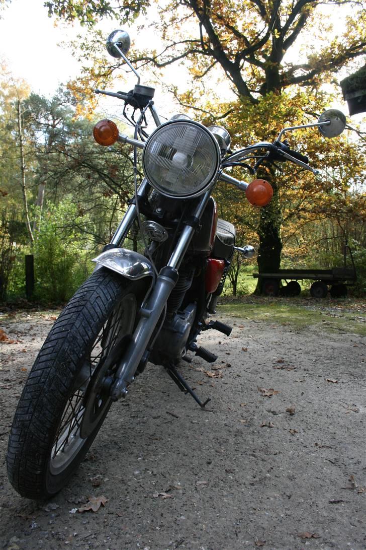 Yamaha SR 500 billede 9