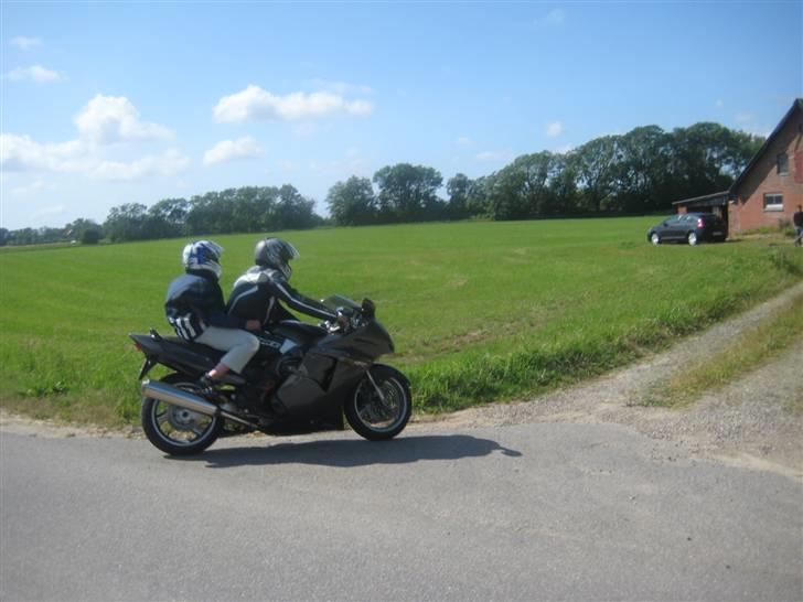 Honda CBR 600  billede 14