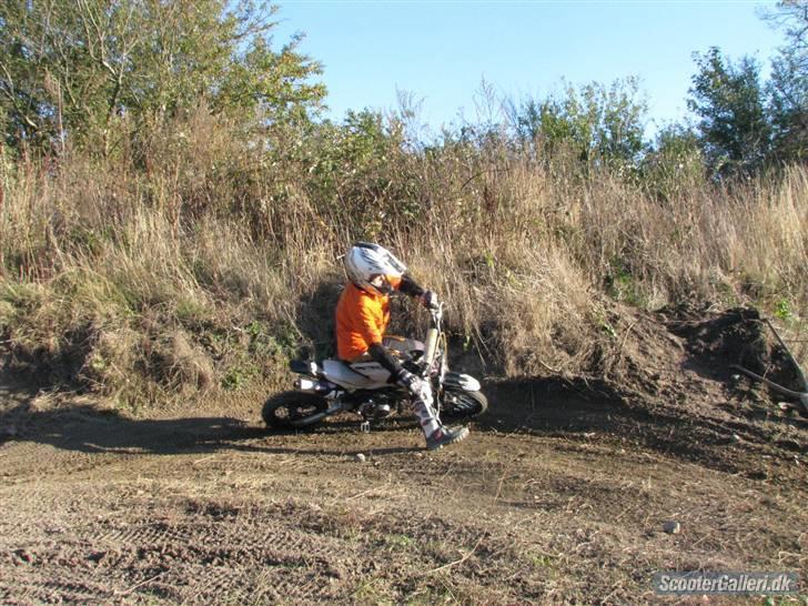 Honda Moff sfr BYTTET billede 8