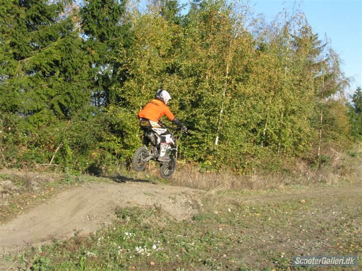 Honda Moff sfr BYTTET billede 9