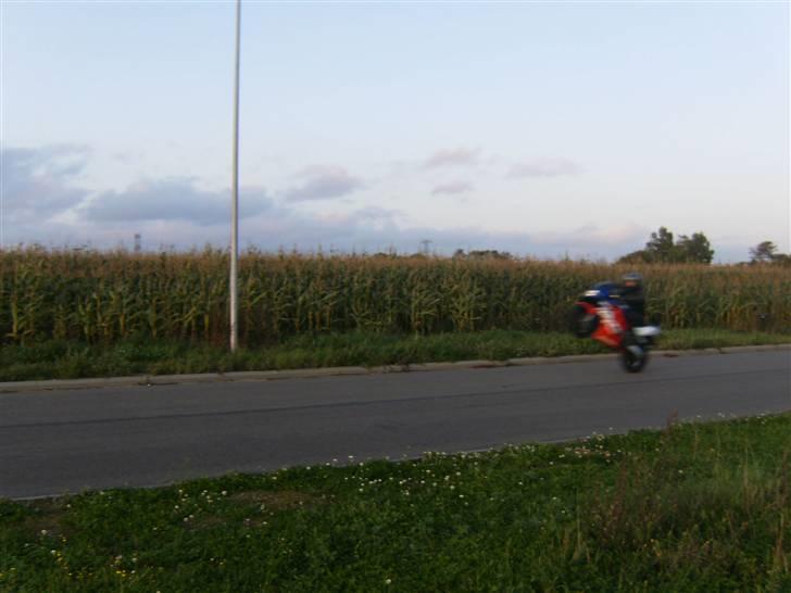 Honda CBR 600  F 4 "SOLGT" billede 15