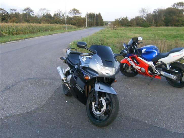 Honda CBR 600  F 4 "SOLGT" - MIN KÆRESTE OG MINE BØRN  billede 16