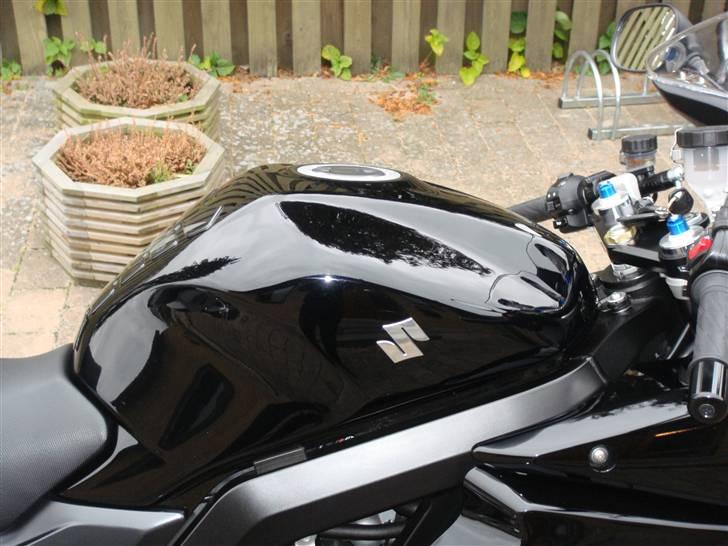 Suzuki SV1000S billede 7