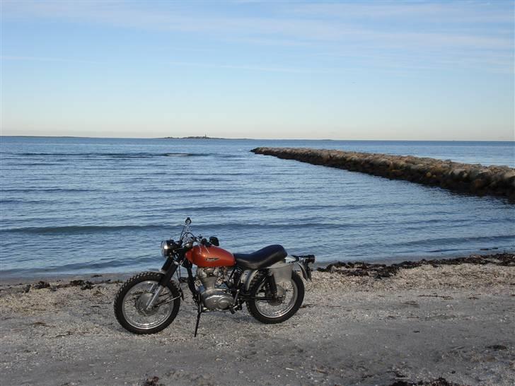 Ducati Scrambler - Solgt billede 15