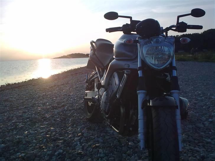 Yamaha FZ6-N *SOLGT - Min Yams billede 1