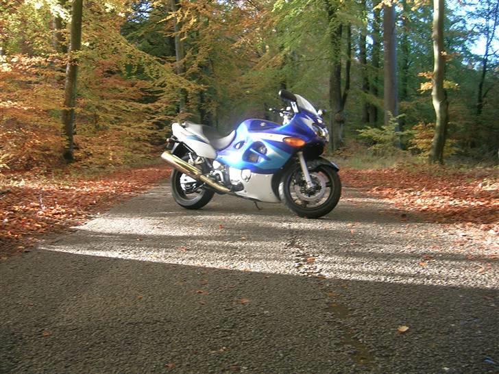 Suzuki GSXF 600 billede 4