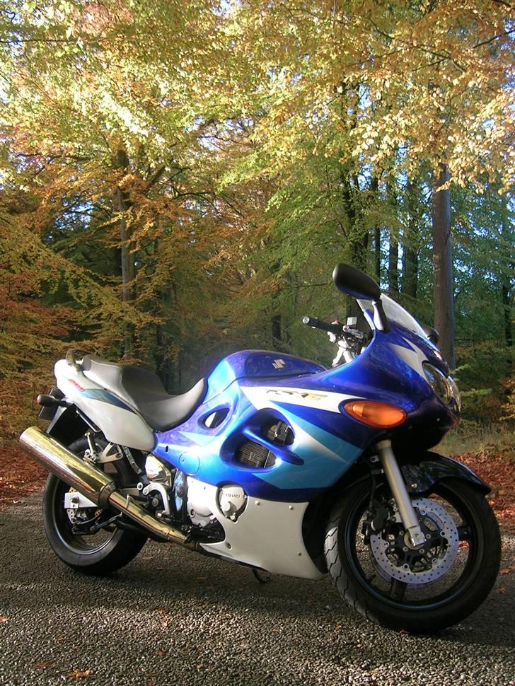 Suzuki GSXF 600 billede 7