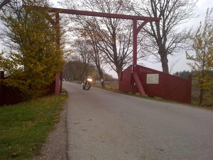 Suzuki Gsx-R250 *Solgt* billede 7