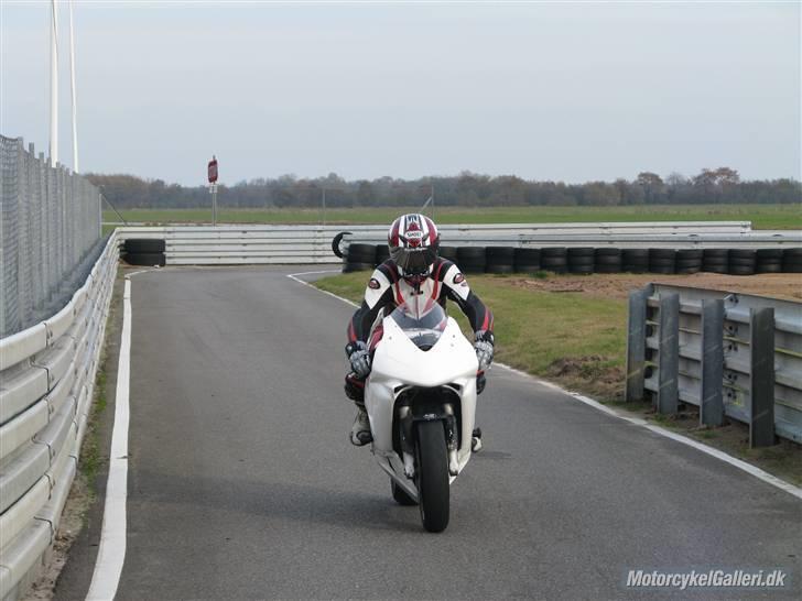 Honda cbr 600RR SOLGT billede 2